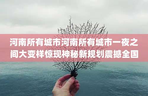 河南所有城市河南所有城市一夜之间大变样惊现神秘新规划震撼全国