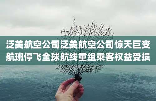 泛美航空公司泛美航空公司惊天巨变航班停飞全球航线重组乘客权益受损