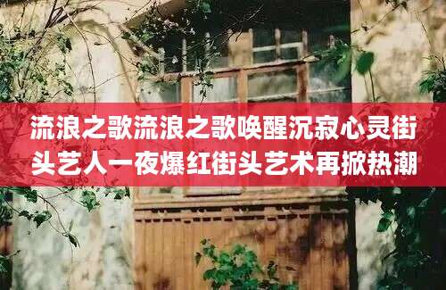 流浪之歌流浪之歌唤醒沉寂心灵街头艺人一夜爆红街头艺术再掀热潮