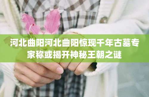 河北曲阳河北曲阳惊现千年古墓专家称或揭开神秘王朝之谜